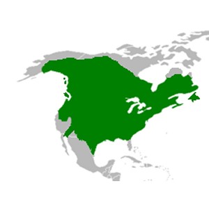 Beaver Range