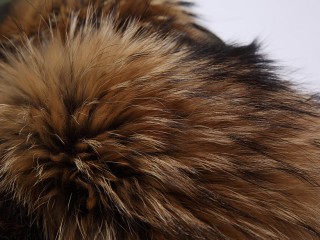 Fur