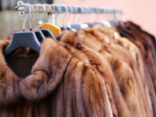Fur Industry