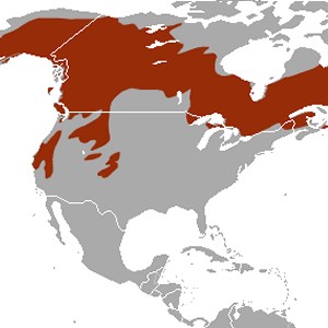 Marten Range