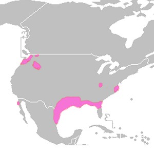 Nutria Range