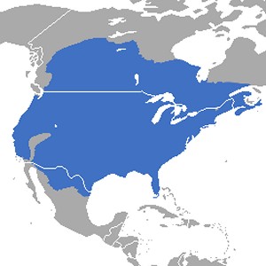 Skunk Range